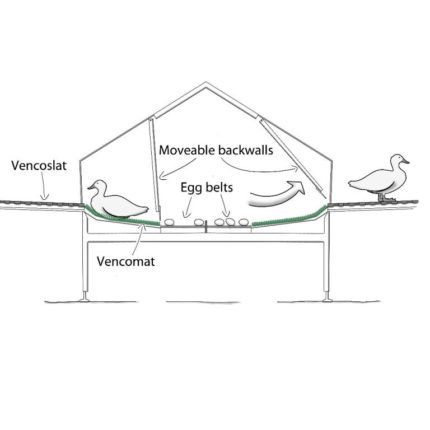 Budowa gniazd automatycznych dla kaczek