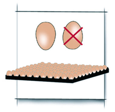 Poprawne układanie jaj