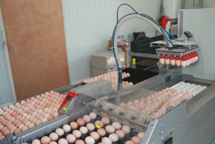 Pakowaczka jaj reprodukcyjnych PSPC5