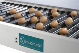 Transporter Vencobelt