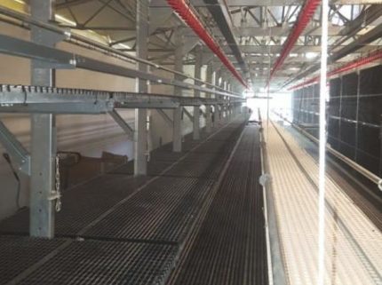 Odchowalnia Jump Start w Polsce