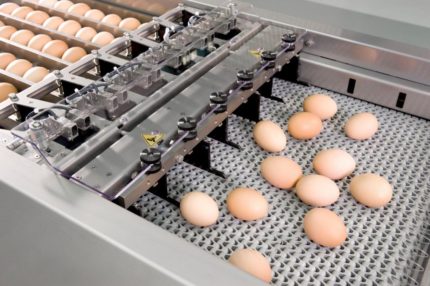 Bramki wejściowe pakowaczki Speedpack Prinzen