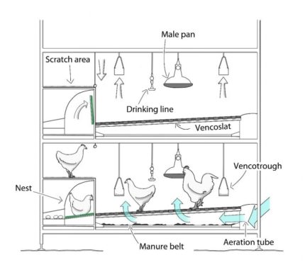 System Veranda Breeder Schemat