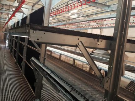 Platformy systemowe w odchowalni