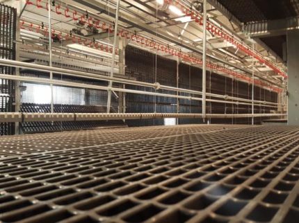 Odchowalnię wolierową Jump Start