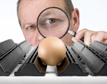 Automatyzacja zbioru jaj