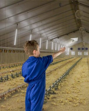 optymalny klimat na fermie