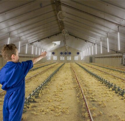 optymalny klimat na fermie