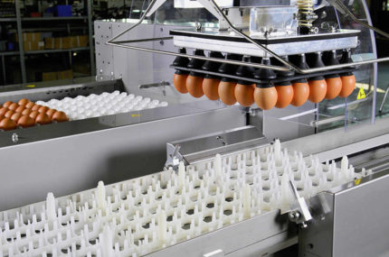 Delikatne pakowanie jaj