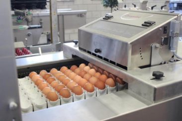 Drukarka do jaj Ovoprint X