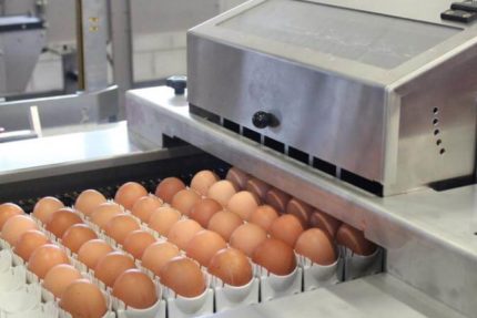 Drukarka do jaj Ovoprint X