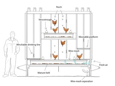 Schemat Bolegg Starter