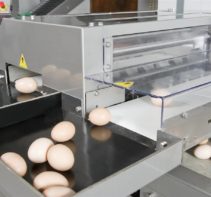 Sortownica do jaj Ovograder