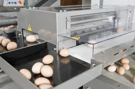 Sortownica do jaj Ovograder