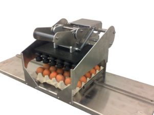 Stemplownice do jaj Firmy HediPack