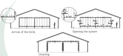 Odchowalnia wolierowa Jump Start