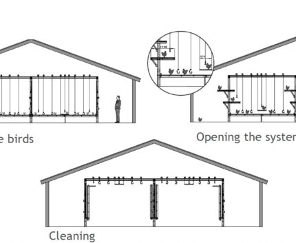 Odchowalnia wolierowa Jump Start