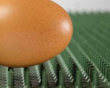 Mata do gniazda bezpieczna dla jaj